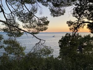 Sea, Pines, Ferry
