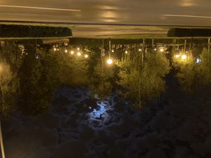 Night lamps