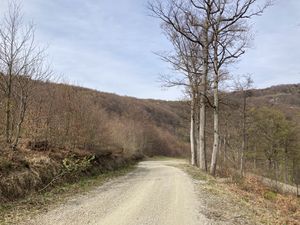 Sljeme