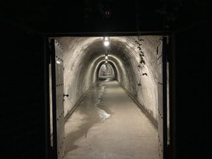 Tunel Grič