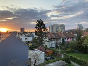 Spring view