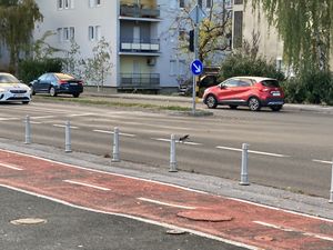 Crow trying to break a nut